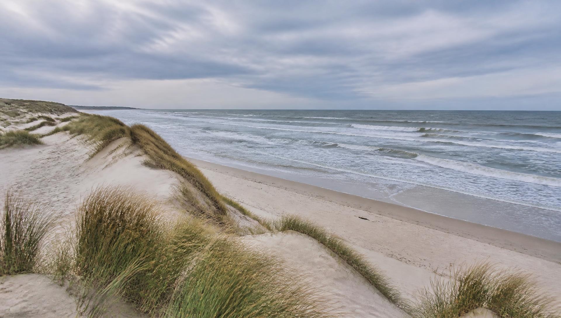 Klitter med marehalm og bølger ved Vesterhavet nær Blokhus
